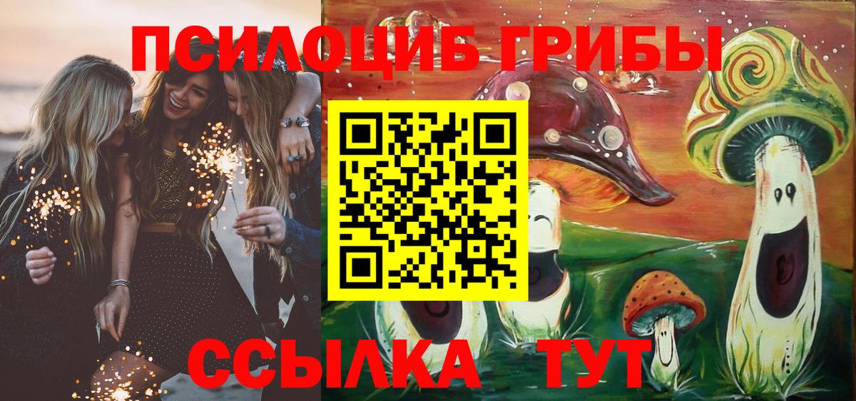 Псилоцибиновые грибы прущие грибы  Вход с VPN  Сланцы 